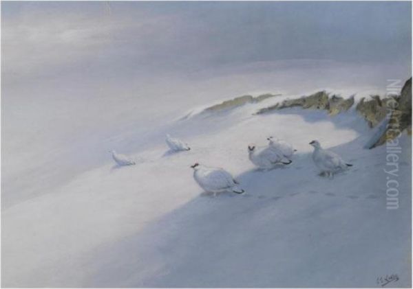 Winter Ptarmigan - view 1
