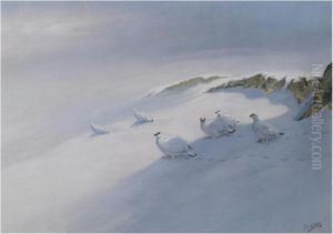 Winter Ptarmigan by George Edward Lodge