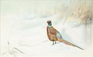 Pheasant In Snow by George Edward Lodge