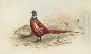 Pure Mongolian Pheasants by George Edward Lodge