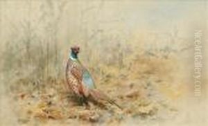 Pheasant In Autumn by George Edward Lodge
