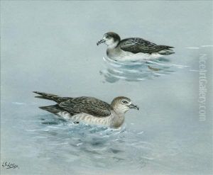 Manx Shearwaters by George Edward Lodge