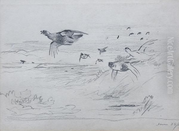 Grouse In Flight - view 1