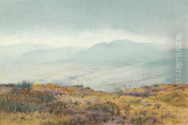 Scottish Mountain Landscape With Stag - view 1