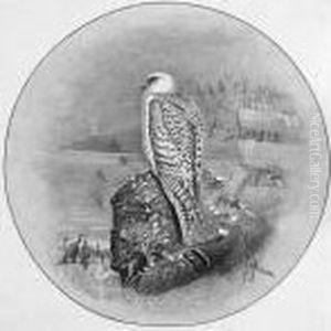 A Gyr Falcon by George Edward Lodge