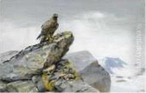 Golden Eagle; Driven Partridge