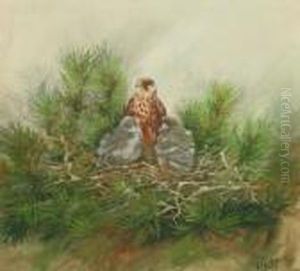 Eagle And Chicks, In A
Nest;gouache, Signed, 24x26cm. Note: George Edward Lodge Wildlifeartist,
Naturalist, Falconer And Taxidermist. A Fisherman Who Madeannual Visits
To Scotland And To The Salmon Rivers Of Norway,gathering Material For
His Work by George Edward Lodge