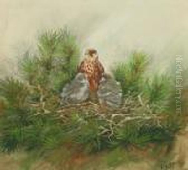 Eagle And Chicks, In A Nest - view 1