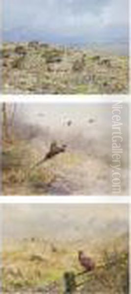 A Covey Of Partridge; Flushing Pheasant; Cock And Hen Pheasants In A Field - view 1