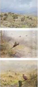A Covey Of Partridge; Flushing Pheasant; Cock And Hen Pheasants In A Field by George Edward Lodge