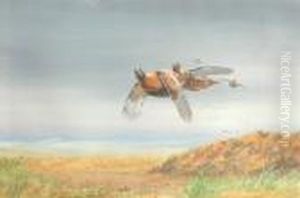Grouse In Flight. Signed. Watercolour. 14.5 X 22ins by George Edward Lodge