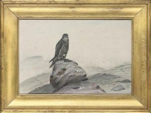 Peregrine Falcon On A Rocky Outcrop by George Edward Lodge