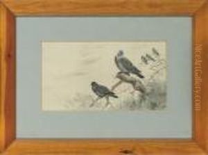 Wood-pigeons by George Edward Lodge