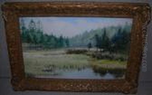 View Of A Poolin A Wooded Clearing - view 1