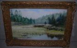 View Of A Poolin A Wooded Clearing