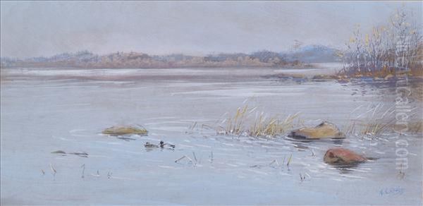Mallards In Sweden - view 1
