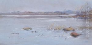 Mallards In Sweden