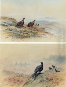 Red Grouse On A Rocky Hillside; And Blackcock On A Rocky Outcrop by George Edward Lodge