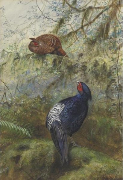 A Pair Of Pheasants - view 1