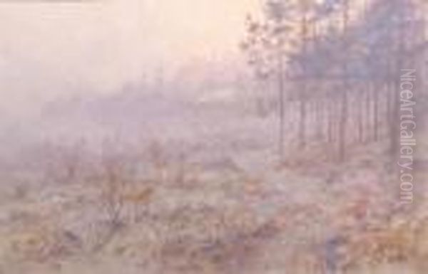 A Woodland Path In Autumn - view 1