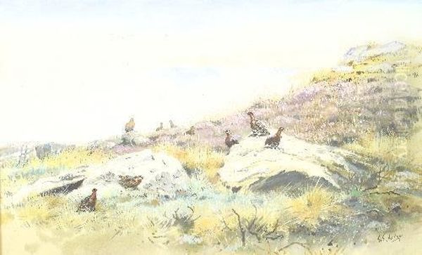 Grouse - view 1