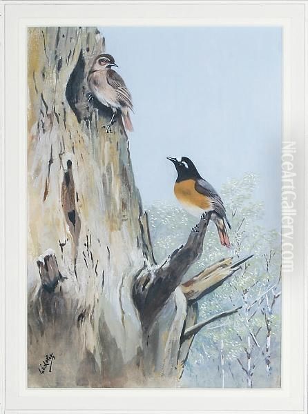 The Redstart (phoenicurus) - view 1