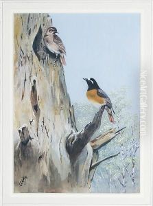 The Redstart (phoenicurus) by George Edward Lodge
