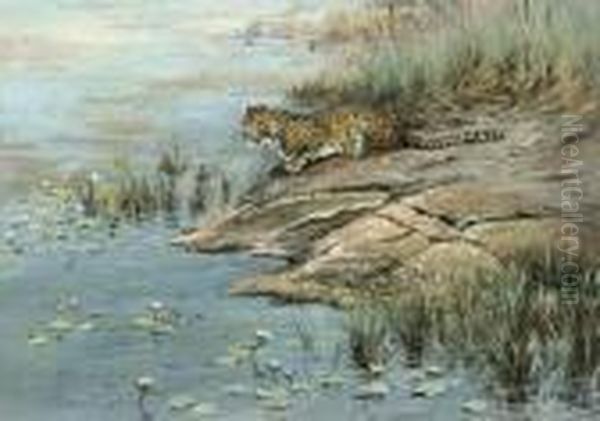 A Leopard By The Water's Edge - view 1