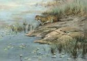 A Leopard By The Water's Edge