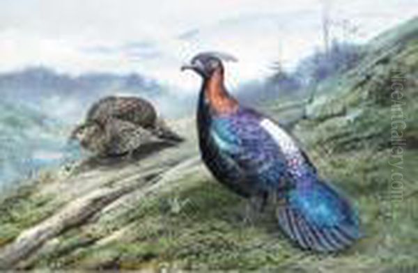 A Pair Of Chinese Impeyan Pheasants - view 1