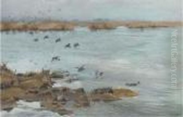 Mallard Flying In - view 1