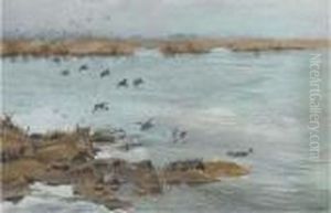 Mallard Flying In