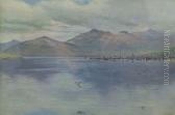 Tromso Fjord - view 1
