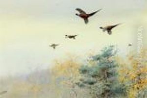 High Flyers Pheasants In Flight by George Edward Lodge