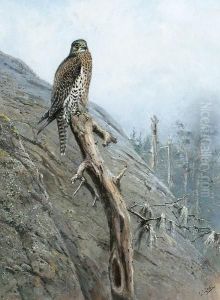 Gyr Falcon by George Edward Lodge