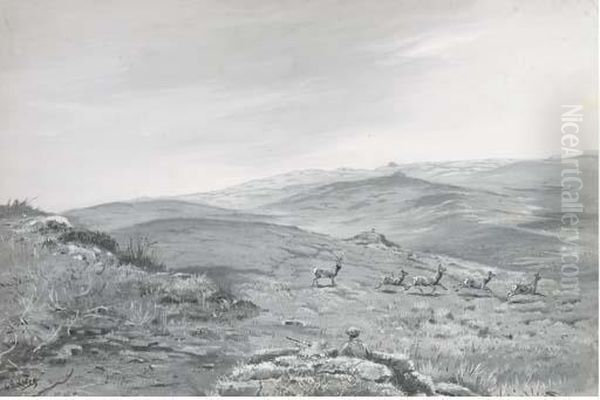 In Dangerous Territory - view 1