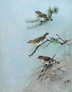 Three Warblers by George Edward Lodge