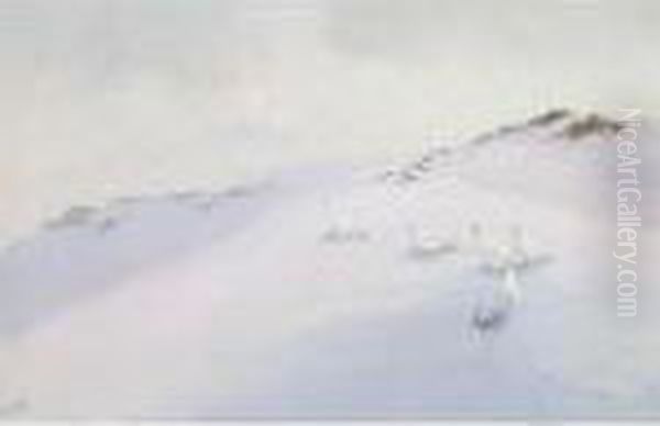 Ptarmigan In The Snow - view 1