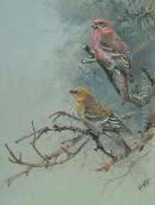 Pink Grosbeak; Two-barred Crossbill; Red Backed Shrike; Wall Creeper; Water Pipet by George Edward Lodge