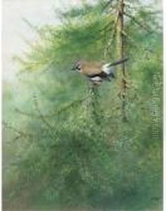A Jay On A Branch by George Edward Lodge