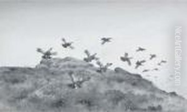 Grouse Rising - view 1