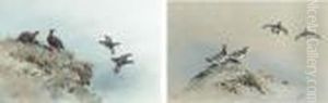 Red Grouse In Flight; Ptarmigan In Flight by George Edward Lodge
