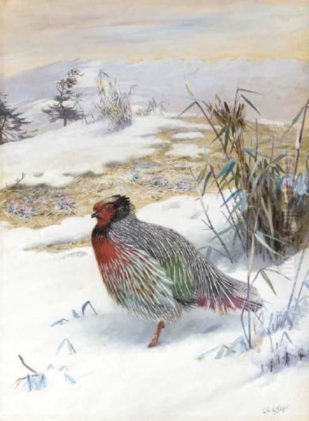 Blood Pheasant In The Snow - view 1