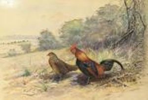 Cock And Hen In A Landscape Cock And Hen In A Landscape