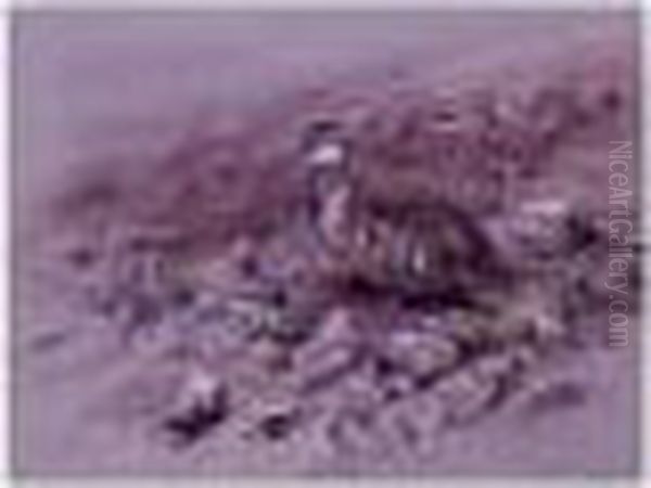 A Quail - view 1