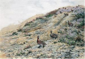 Grouse In The Heather