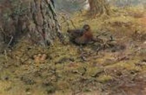 A Hen Capercailie With Her Nest by George Edward Lodge