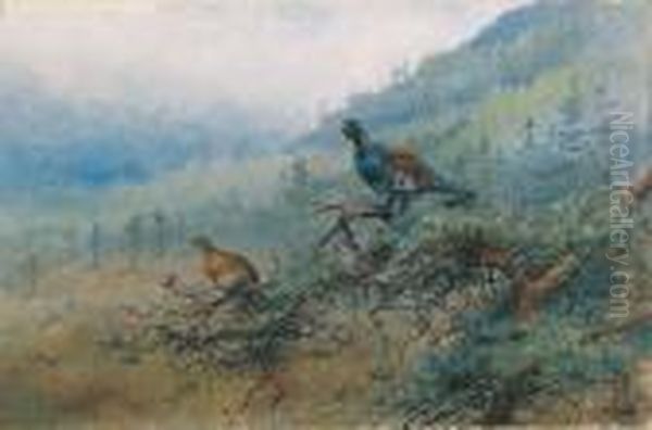 A Pair Of Capercaillie In A Scottish Landscape; And Mallard On Apond - view 1