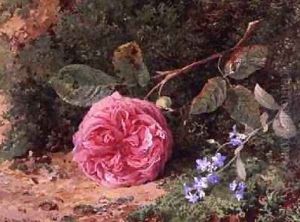 Pink Rose on a Mossy Bank, 1875 by Harry Sutton Palmer