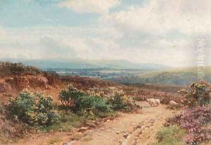 A view near Midhurst, Sussex by Harry Sutton Palmer